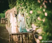 种子链接在线下载